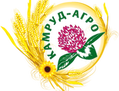 KAMRUD-TEHNO